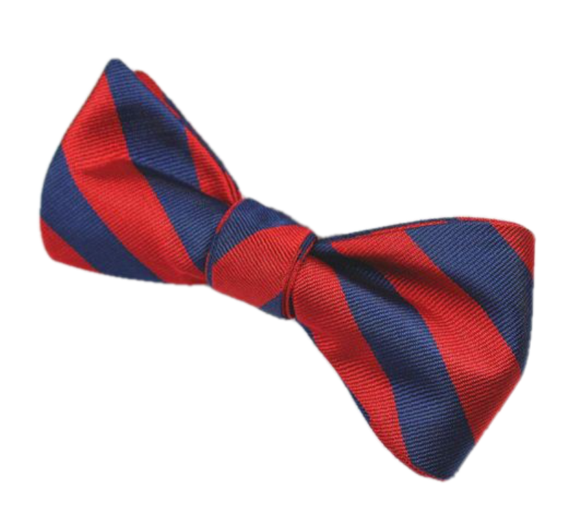 Red and Blue Silk Bow Tie