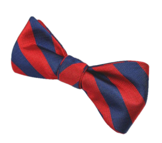 Red and Blue Silk  Bow Tie